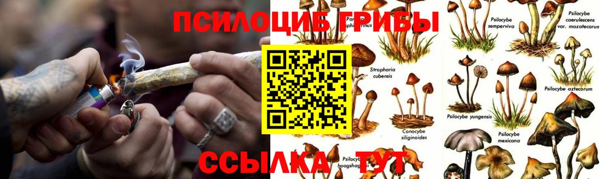 Чебоксары  Галлюциногенные грибы мухоморы  Псилоцибиновые грибы GOLDEN TEACHER  Вход с VPN 